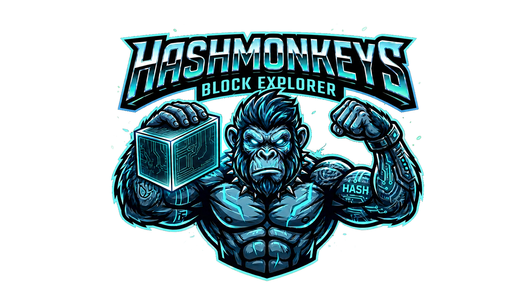 HashmonkeyCoin